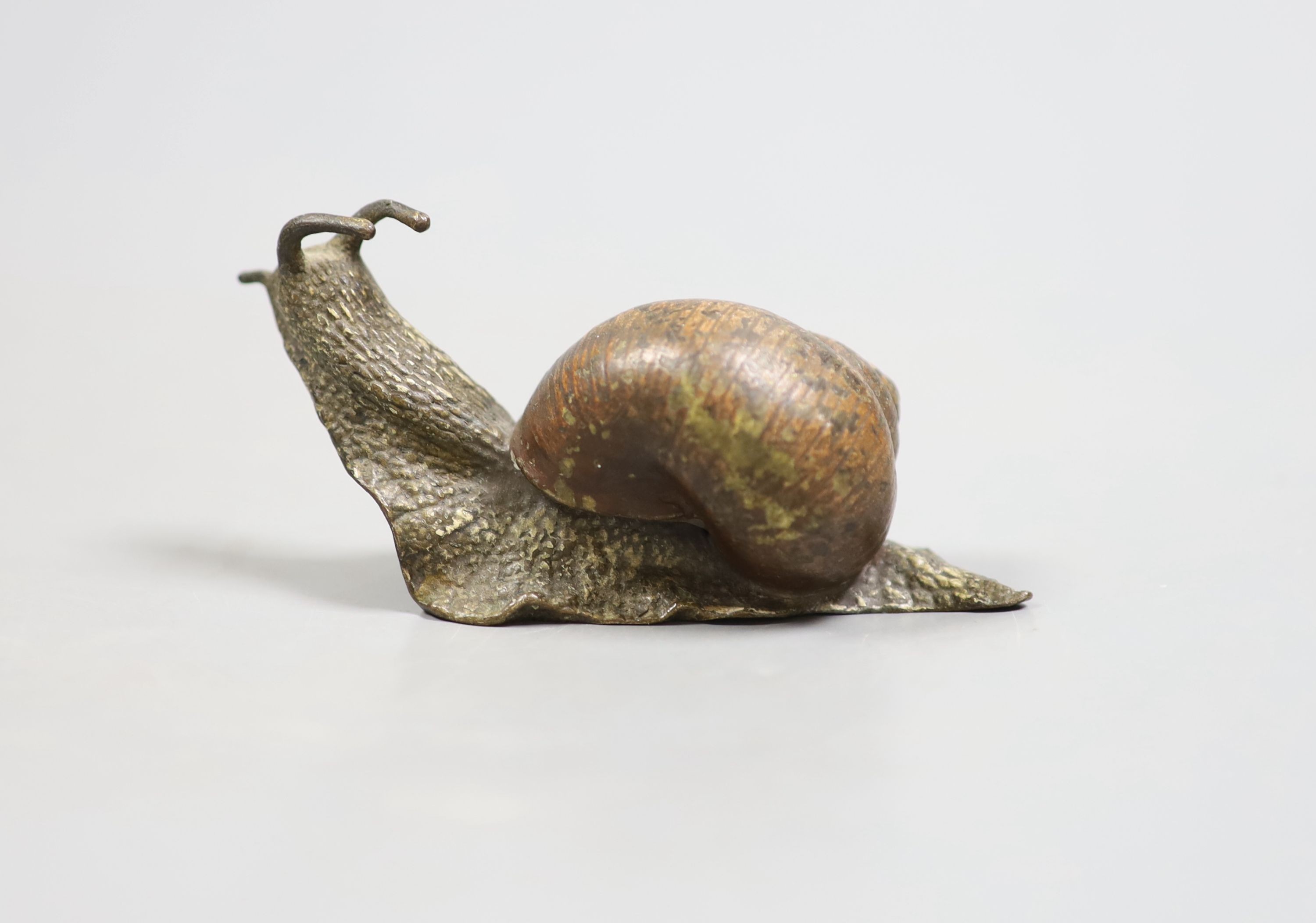 An Austrian cold painted bronze of a snail, 9.5cm